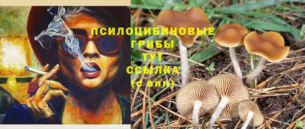 стаф Медвежьегорск