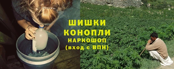 стаф Медвежьегорск