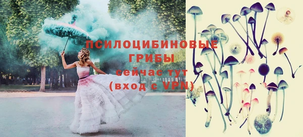 соль курить ск Медногорск