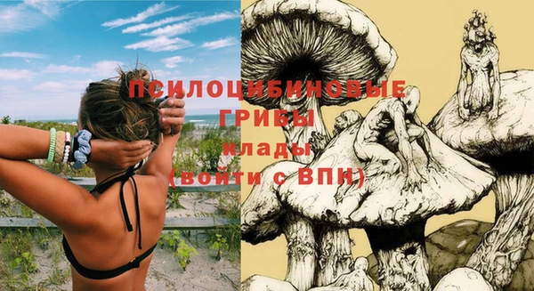 apvp Мегион
