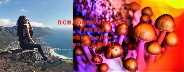стаф Медвежьегорск