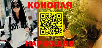 прущие грибы Волжск