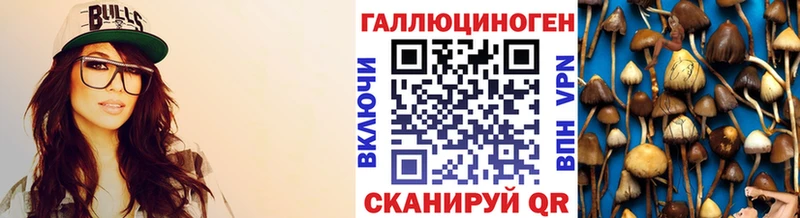 Галлюциногенные грибы Psilocybe  блэк спрут ссылки  Шуя 