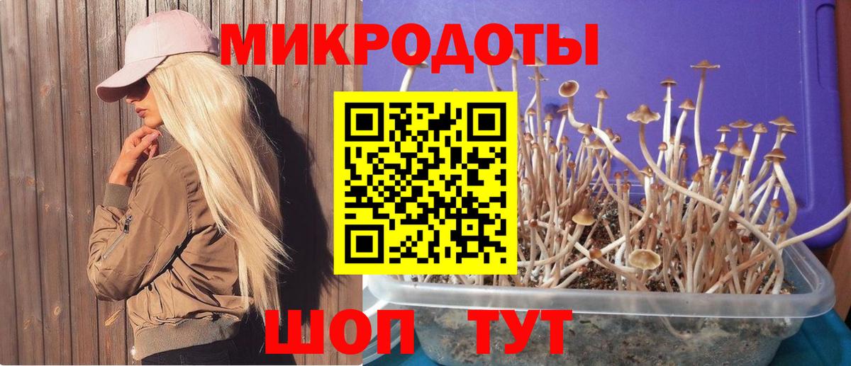 Галлюциногенные грибы мухоморы  купить наркотики сайты  Шуя  Вход с VPN  Галлюциногенные грибы мицелий 