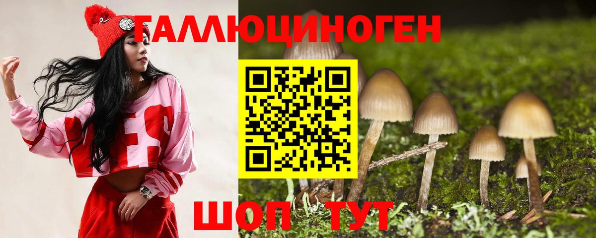 Псилоцибиновые грибы Psilocybine cubensis Шуя