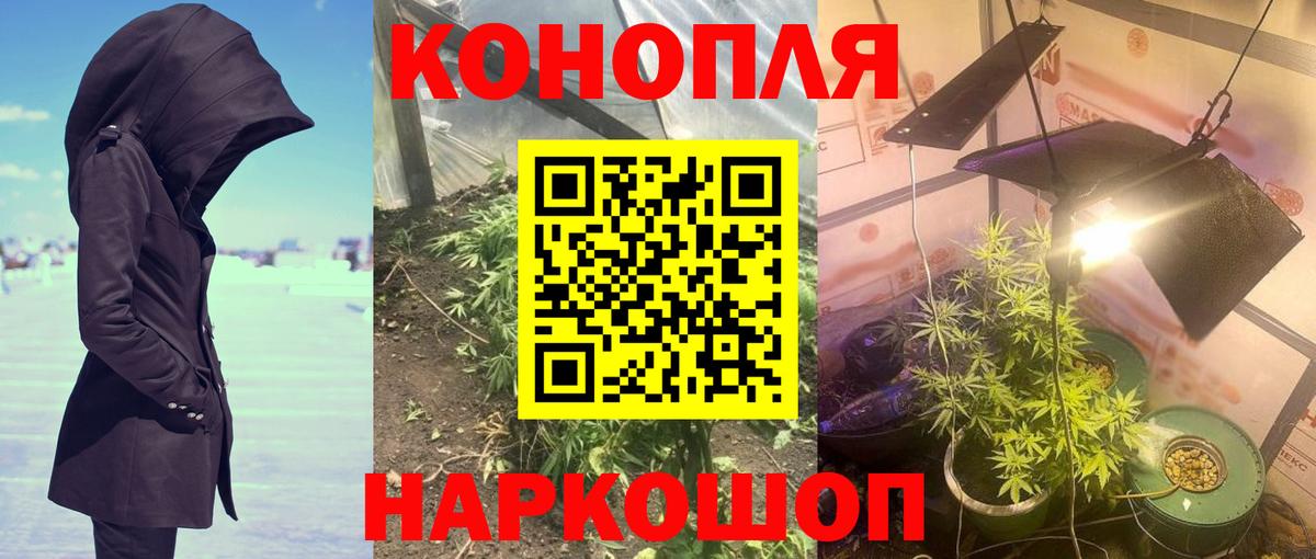 Шишки марихуана ГИДРОПОН  Вход с VPN  Шуя  Конопля Bruce Banner 